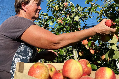 Family adventure: Farm-to-Scoop, Create Your Own Ice Cream!