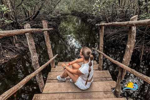 Zanzibar: Jozani Forest & Salaam Cave Sea Turtles Swim Tour Option Without Hotel Transfers