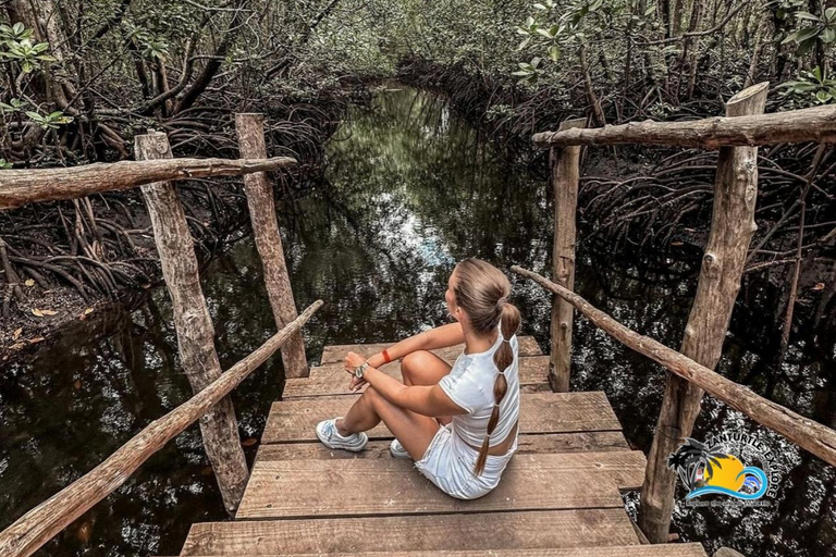 Zanzibar: Jozani Forest & Salaam Cave Sea Turtles Swim Tour Option Without Hotel Transfers