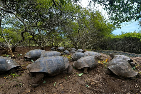 San Cristóbal: Private Visit to Galapaguera Cerro Colorado with Admission Ticket San Cristóbal: Private Tour of Galapaguera Cerro Colorado with Admission