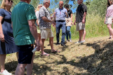 Positano: lekcja gotowania i degustacja vista li Galli