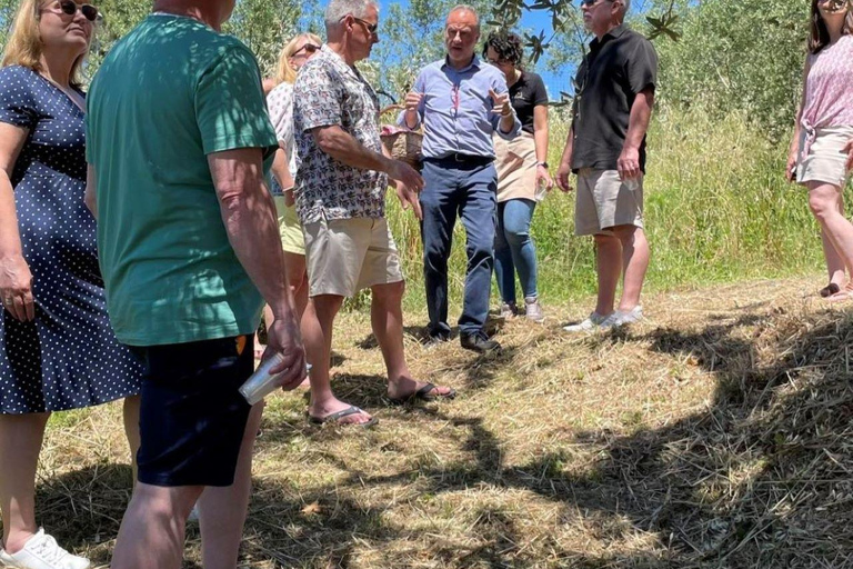 Positano: lekcja gotowania i degustacja vista li Galli