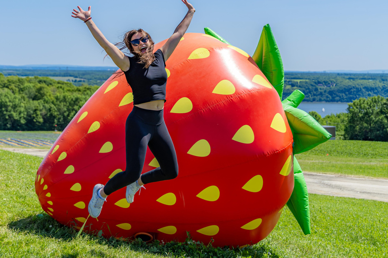 Quebec City - Agricultural Walking Tour on Ile d'Orléans Agricultural Walking Tours - Unique Flavor of the Island