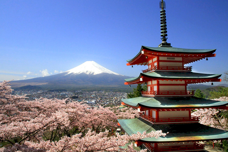 Depuis Tokyo : Visite en bus de la 5e station du mont Fuji et du lac Kawaguchi