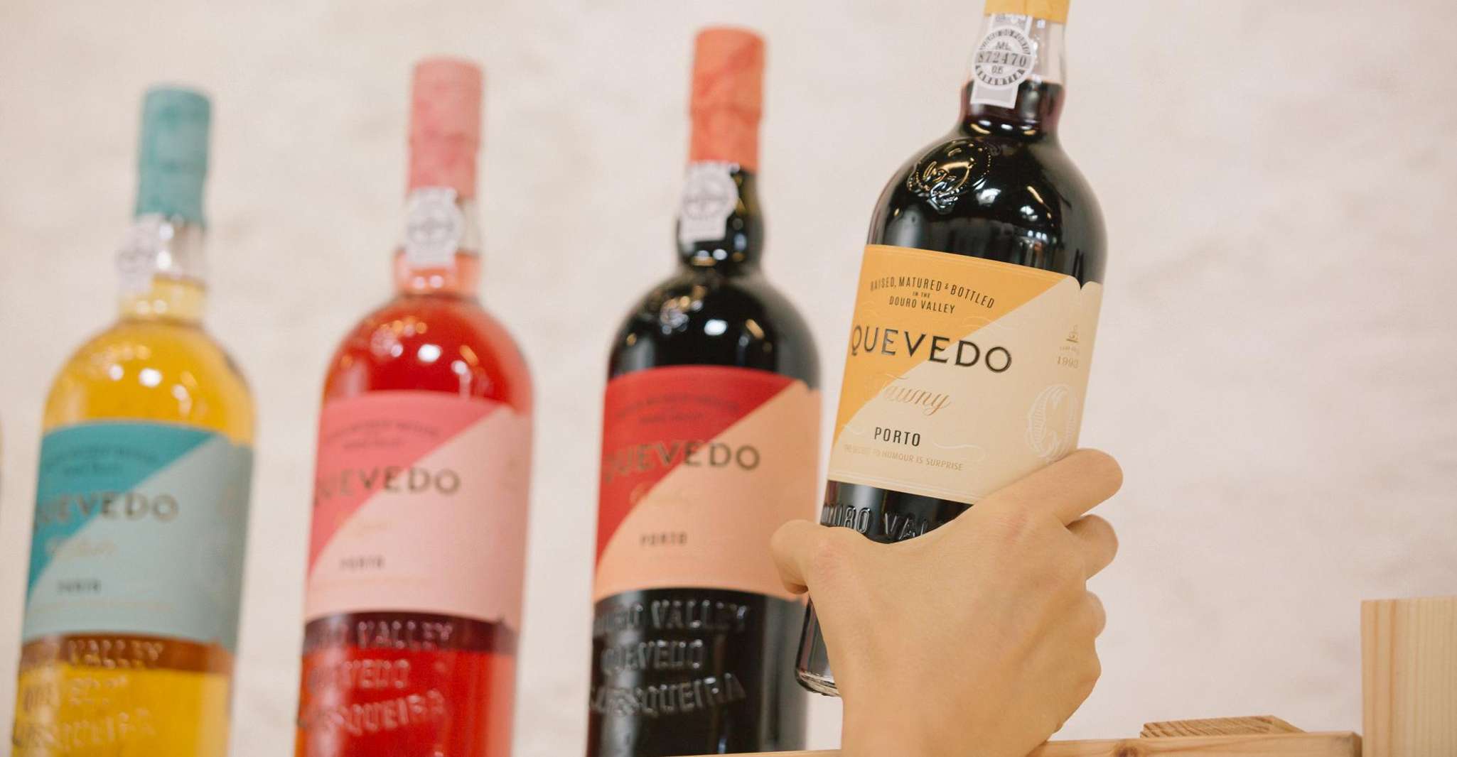 Vila Nova de Gaia, Degustazione di vino del porto con abbinamento di formaggio - Hizvo