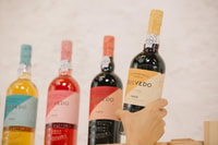 Vila Nova de Gaia, Degustazione di vino del porto con abbinamento di formaggio - Hizvo