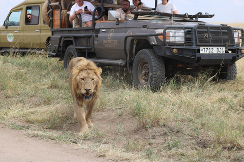 Moshi: 2-Day Safari to Tarangire Park and Ngorongoro Crater