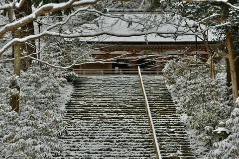 Osaka: Nara’s Hidden-gem Temples, Art Forest Day Tour