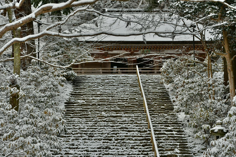 Osaka: Nara’s Hidden-gem Temples, Art Forest Day Tour