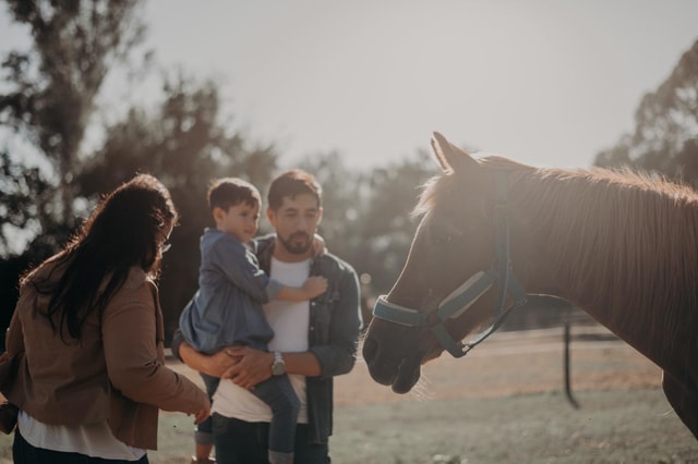 Buenos Aires: 4-hours horseback ride, breakfast and lunch