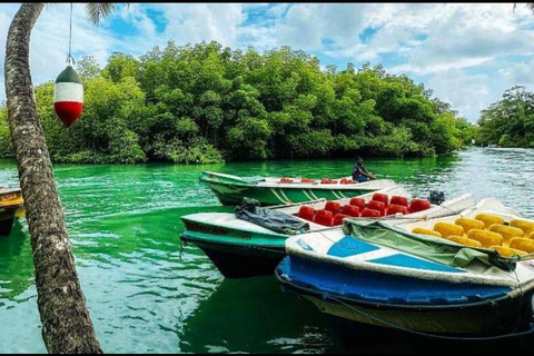 ️ Smooth Ride: Colombo Airport to South Coast Highlights ✨