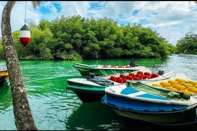 ️ Smooth Ride: Colombo Airport to South Coast Highlights ✨