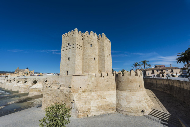 Seville: Cordoba Private & Fully Customizable Day Tour
