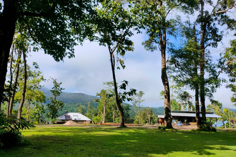 Chiang Mai: Bua Tong Sticky Waterfall TripJoin Group With Meeting Point Pickup