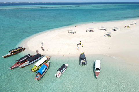 Zanzíbar:Excursión a la Granja de Especias,Experiencia submarina en el arrecife y la playaZanzíbar:Excursión a la Granja de Especias,Experiencia submarina en el arrecife y en l