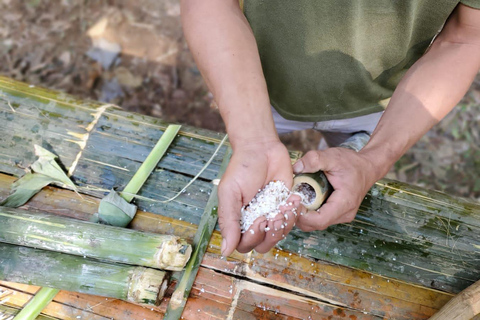 Luang Prabang : Journée complète de cuisine forestière