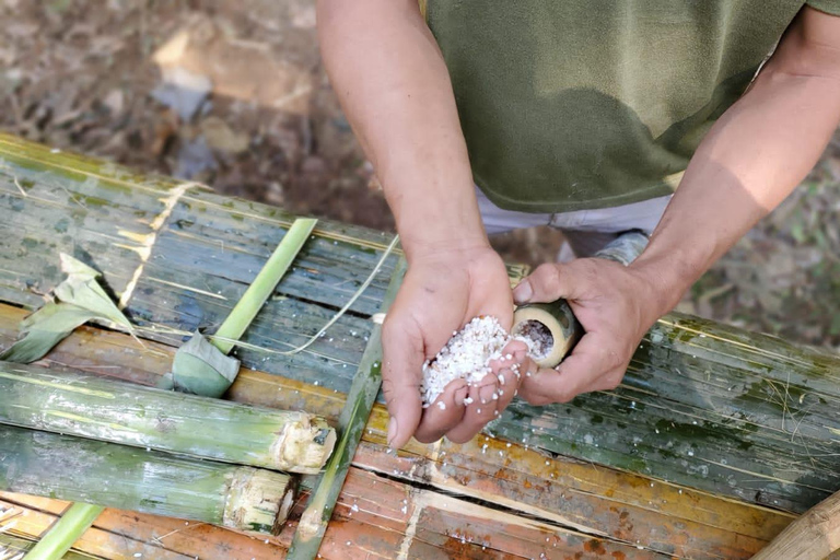 Luang Prabang: Een hele dag koken in het bos