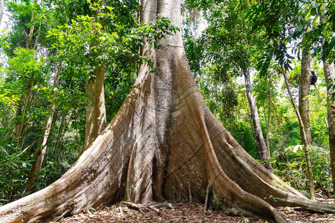 Jungle trek and canoeing on the Tapajós River. Jungle hike and canoe ride on the Tapajós River.