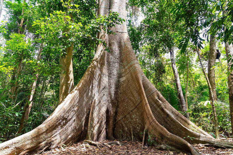Jungle trek and canoeing on the Tapajós River. Jungle hike and canoe ride on the Tapajós River.