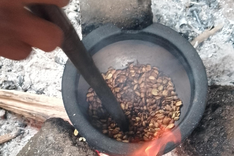 Arusha/Moshi: cascada, tour del café y vino de plátanoCascadas de Materuni, plantación de café y almuerzo desde Arusha