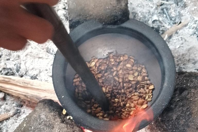 Arusha/Moshi: cascada, tour del café y vino de plátanoCascadas de Materuni, plantación de café y almuerzo desde Arusha