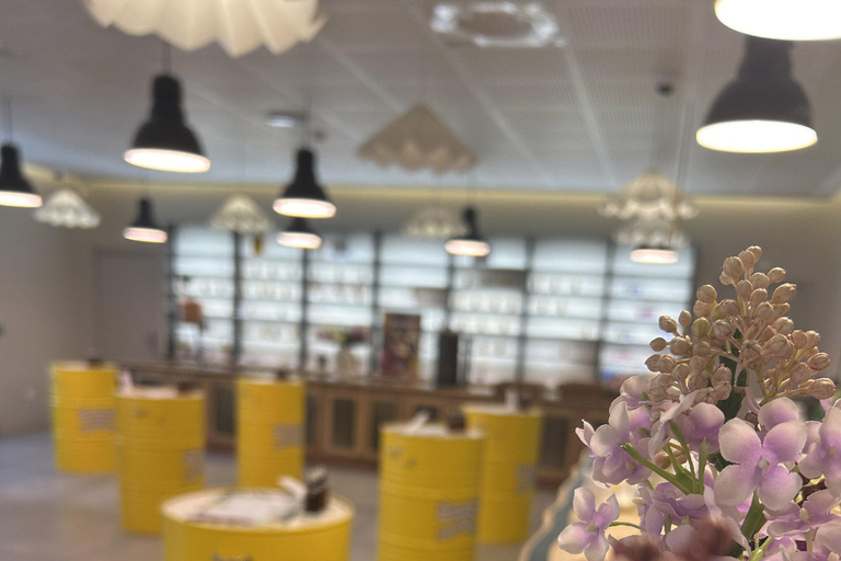 Grasse: Perfume Creation Experience and Guided Visit at Fragonard Fragonard Private Tour