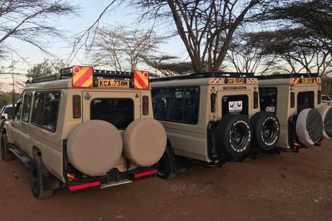 Arusha : Safari en camping de plusieurs jours au Serengeti et au Ngorongoro