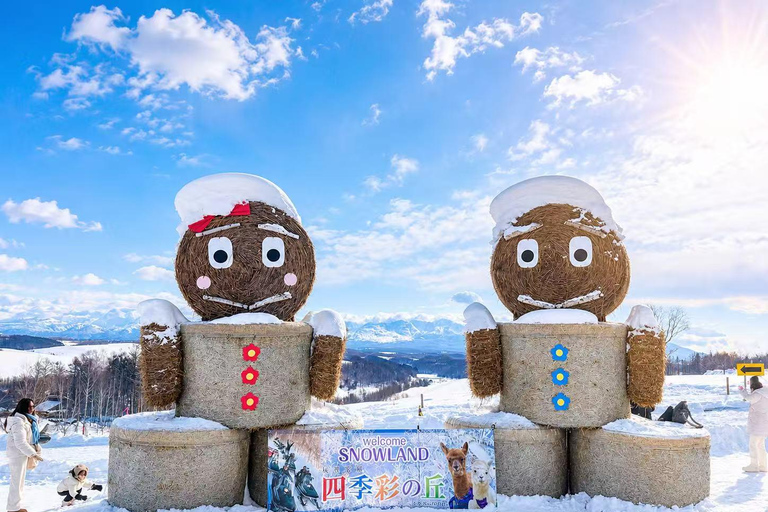 From Sapporo: Snow Fun, Shirahige Falls & Ningle Terrace