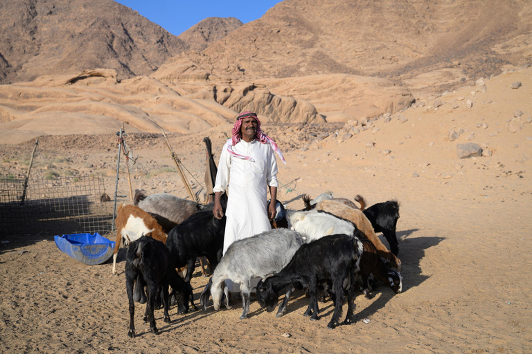 Wadi Rum Desert: Two Days and Nights Bedouin World Trip