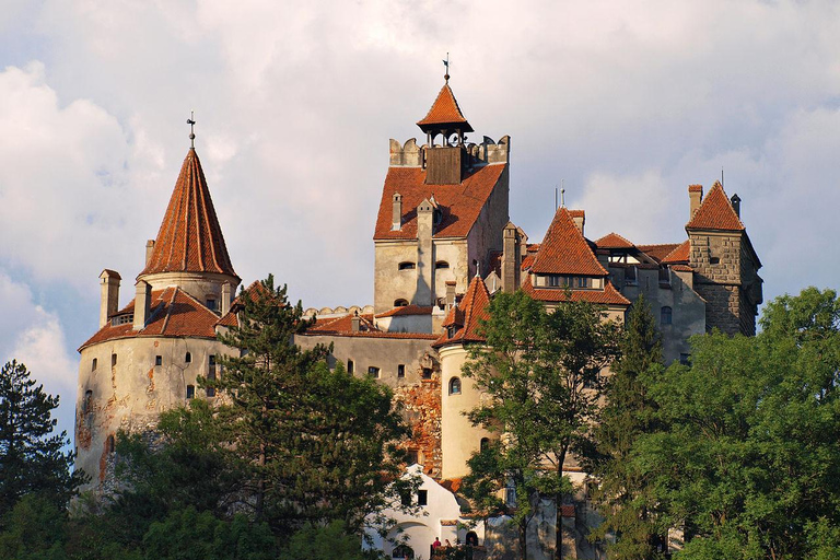 Exklusiv dagstur med bil: Peles, Draculas slott &amp; Brasov