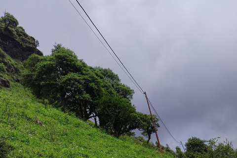 De Pokhara: Caminhada de 3 dias em Ghorepani Poon Hill com guia