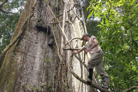 Amazon Lodge: 3-Day Jungle Adventure