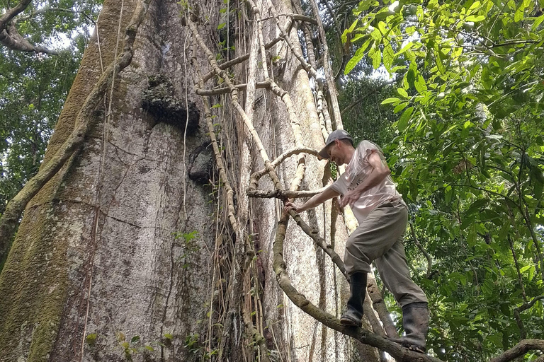 Amazon Lodge: 3-Day Jungle Adventure