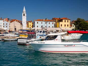 Istria: Private Boat Tour with Skipper