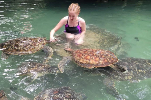 Zanzibar : baignade avec les tortues de mer et croisière en boutre au coucher du soleil