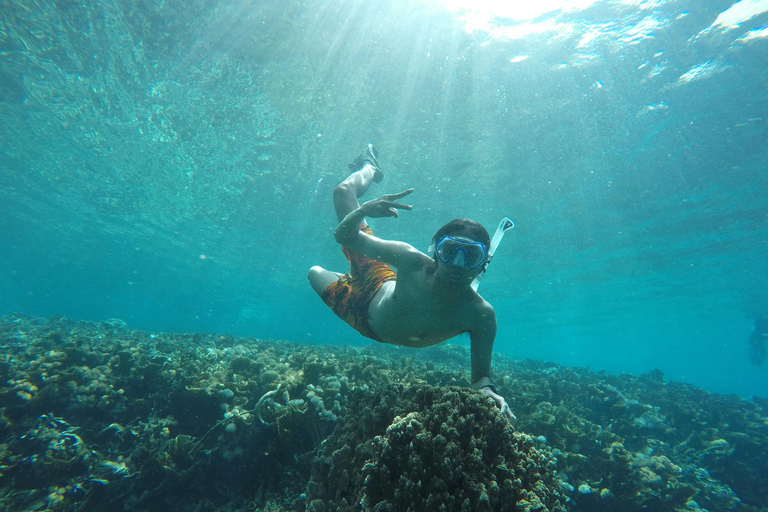 Labuan Bajo: Komodo Dragon Island Full-Day Guide Tour