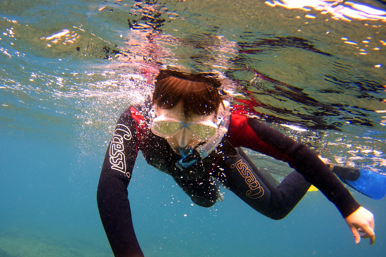 Experiência de mergulho com snorkel no sul de Gran Canaria