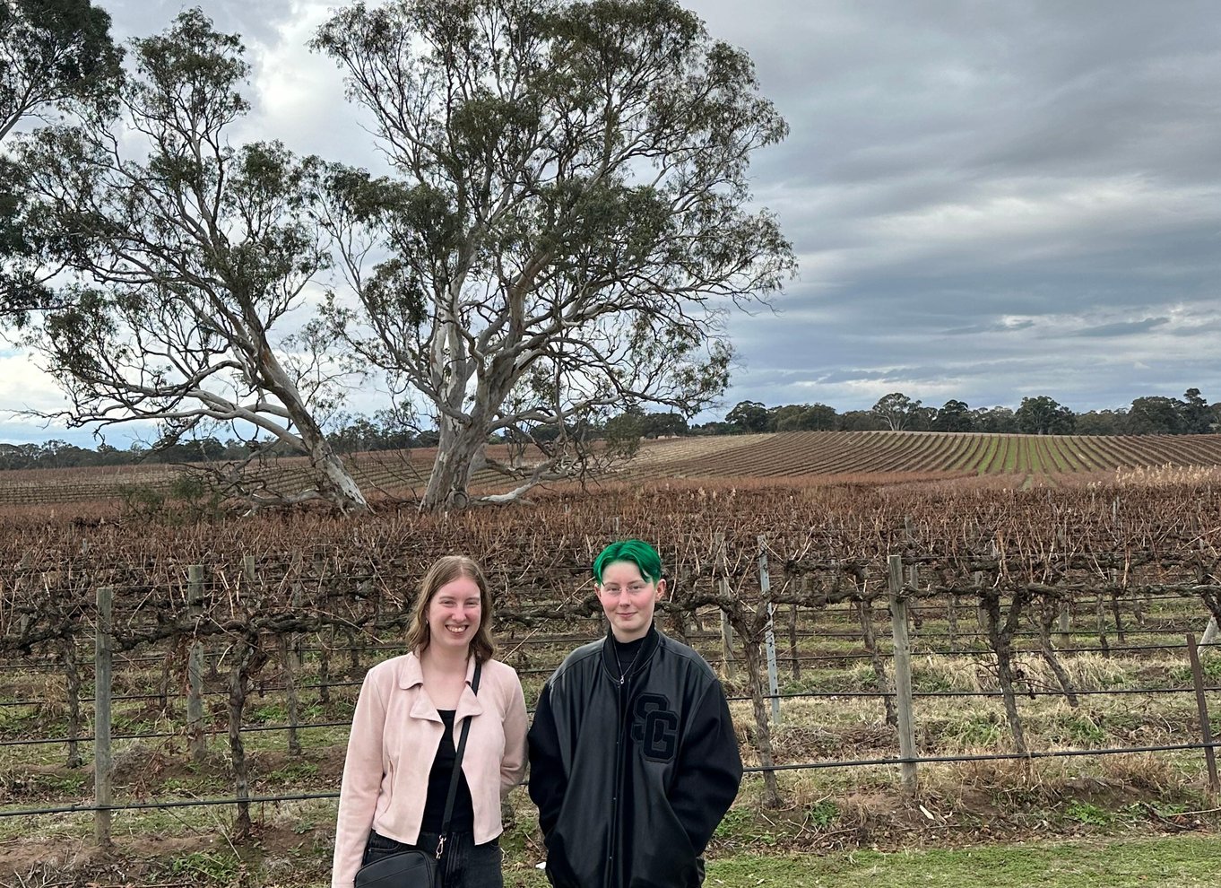Fra Adelaide: Barossa Valley mad- og vintur