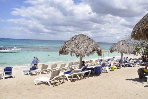 Un&#039;indimenticabile avventura di snorkeling sull&#039;isola di Catalina