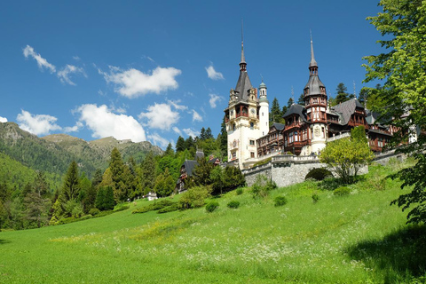 From Bucharest: Peles Castle, Bran Castle & Brașov Day Trip