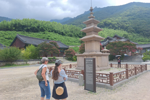 Busan: Miryang Day Tour with Apple Makgeolli Experience