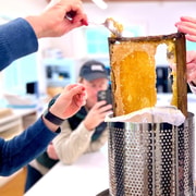 Bowral Honey Farm Tour, Tasting, Morning Tea & Honey Harvest