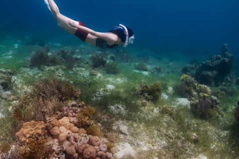 Boracay Discovery Free Diving Experience