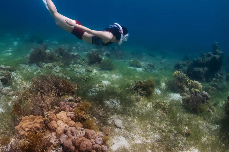 Boracay Discovery Free Diving Experience