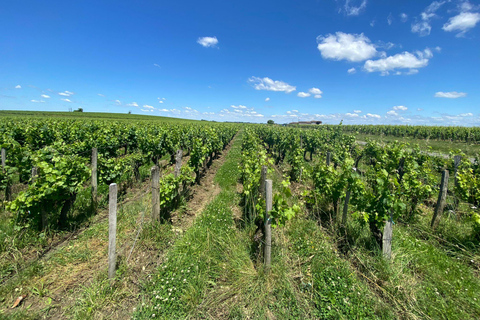 Tour de vino de un día completo en Saint Emilion y Margaux