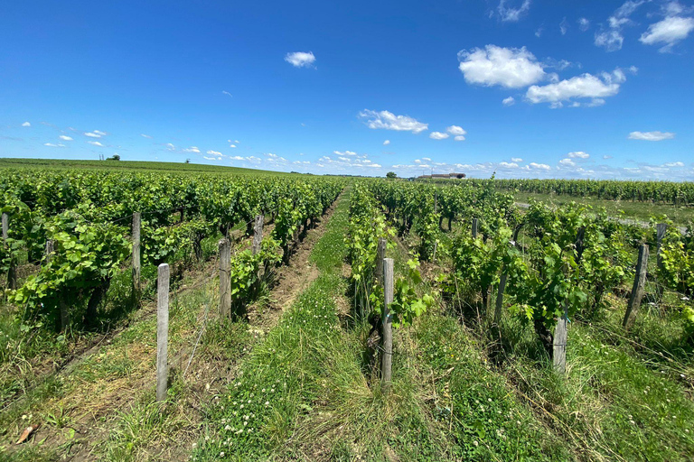 Tour de vino de un día completo en Saint Emilion y Margaux