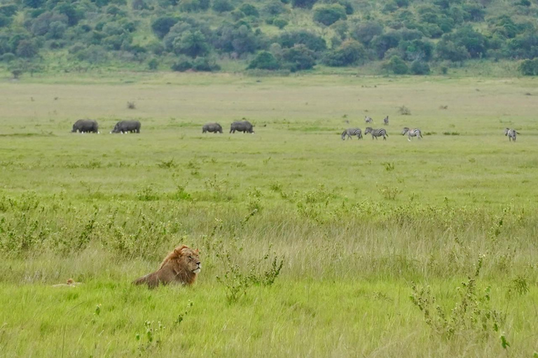 2 Days Akagera Wildlife Safari with Night Game Drive Option 2: Northern Akagera – Karenge Bush Camp