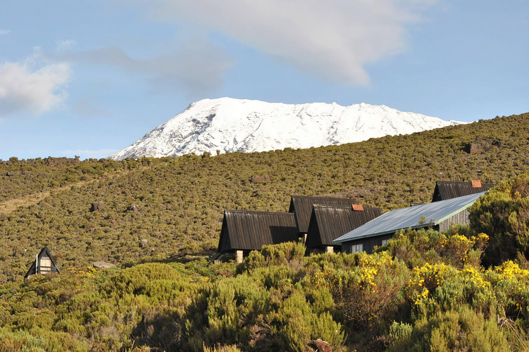 16-daagse Kilimanjaro, noordelijke safari en strand op Zanzibar