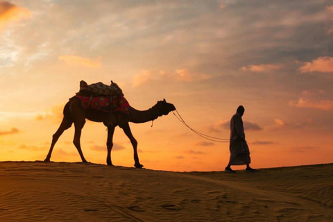 From Marrakech: 10-Day Morocco Highlights Tour