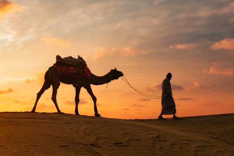 From Marrakech: 10-Day Morocco Highlights Tour